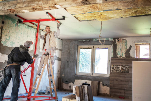 Best Insulation Maintenance and Repair in Lucedale, MS