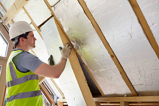 Best Commercial Insulation in Lucedale, MS